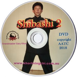 Shibashi-2